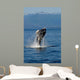 Humpback Whale Clarence Strait Wall Decal Design 2