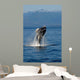 Humpback Whale Clarence Strait Wall Decal Design 2
