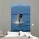 Humpback Whale Clarence Strait Wall Decal Design 2