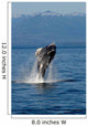 Humpback Whale Clarence Strait Wall Decal Design 2