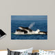 Humpback Whales Bubble-net Feeding Wall Decal Design 3