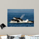 Humpback Whales Bubble-net Feeding Wall Decal Design 3