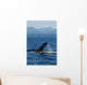 Humpback Whale Clarence Strait Wall Decal Design 1