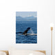 Humpback Whale Clarence Strait Wall Decal Design 1