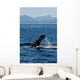 Humpback Whale Clarence Strait Wall Decal Design 1
