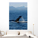Humpback Whale Clarence Strait Wall Decal Design 1