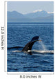 Humpback Whale Clarence Strait Wall Decal Design 1