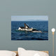 Humpback Whales Bubble-net Feeding Wall Decal Design 2