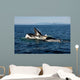 Humpback Whales Bubble-net Feeding Wall Decal Design 2