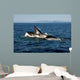 Humpback Whales Bubble-net Feeding Wall Decal Design 2