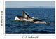 Humpback Whales Bubble-net Feeding Wall Decal Design 2