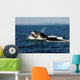 Humpback Whales Bubble-net Feeding Wall Decal Design 1