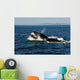 Humpback Whales Bubble-net Feeding Wall Decal Design 1