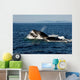 Humpback Whales Bubble-net Feeding Wall Decal Design 1
