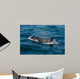 Orca or Killer Whale Wall Decal