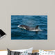 Orca or Killer Whale Wall Decal