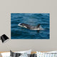 Orca or Killer Whale Wall Decal