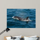 Orca or Killer Whale Wall Decal