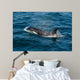 Orca or Killer Whale Wall Decal