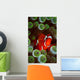 Portrait Spinecheek Anemonefish Its Wall Decal