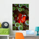 Portrait Spinecheek Anemonefish Its Wall Decal