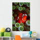 Portrait Spinecheek Anemonefish Its Wall Decal