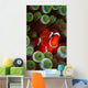 Portrait Spinecheek Anemonefish Its Wall Decal