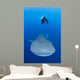 Snorkeler Diving with Whale Wall Decal
