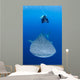 Snorkeler Diving with Whale Wall Decal