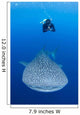 Snorkeler Diving with Whale Wall Decal