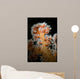 Backlit Soft Coral Lembeh Wall Decal