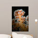 Backlit Soft Coral Lembeh Wall Decal