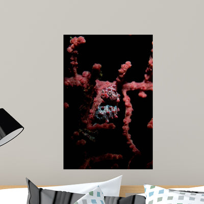Portrait Pygmy Seahorse Wall Decal shown on a wall