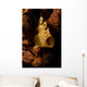 Painted Frogfish North Sulawesi Wall Decal Design 2