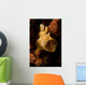 Painted Frogfish North Sulawesi Wall Decal Design 1