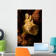 Painted Frogfish North Sulawesi Wall Decal Design 1