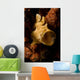Painted Frogfish North Sulawesi Wall Decal Design 1