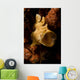 Painted Frogfish North Sulawesi Wall Decal Design 1