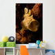 Painted Frogfish North Sulawesi Wall Decal Design 1