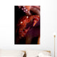 Four Lobed Porcelain Crab Wall Decal Design 3