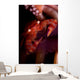 Four Lobed Porcelain Crab Wall Decal Design 3