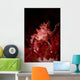 Soft Coral Crab North Wall Decal