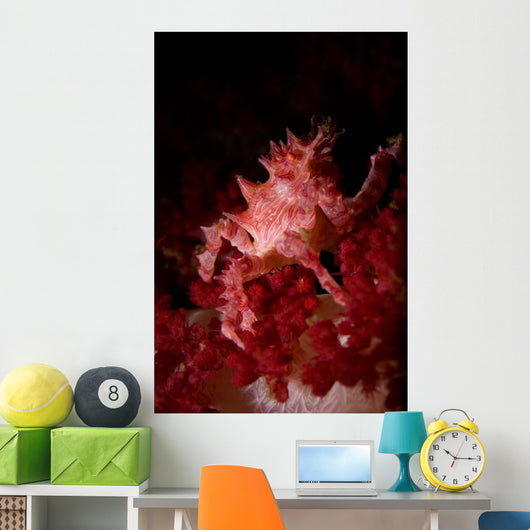 Soft Coral Crab North Wall Decal