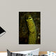 Portrait Taylor's Garden Eel Wall Decal