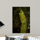 Portrait Taylor's Garden Eel Wall Decal