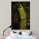 Portrait Taylor's Garden Eel Wall Decal