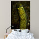 Portrait Taylor's Garden Eel Wall Decal