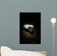 Cuttlefish Spotlight North Sulawesi Wall Decal