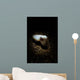 Cuttlefish Spotlight North Sulawesi Wall Decal