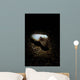 Cuttlefish Spotlight North Sulawesi Wall Decal